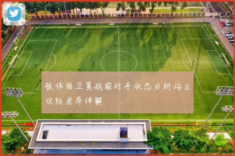 张伟丽卫冕战前对手状态分析站立攻防差异详解